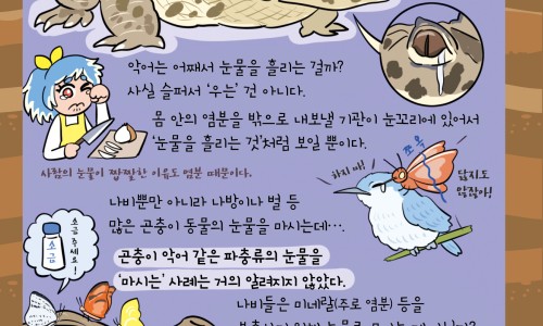 【玛珈片】玛珈片的危害 - 玛伽片说明书网